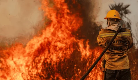Operação da PF reduz em mais de 90% focos de incêndio em Rondônia