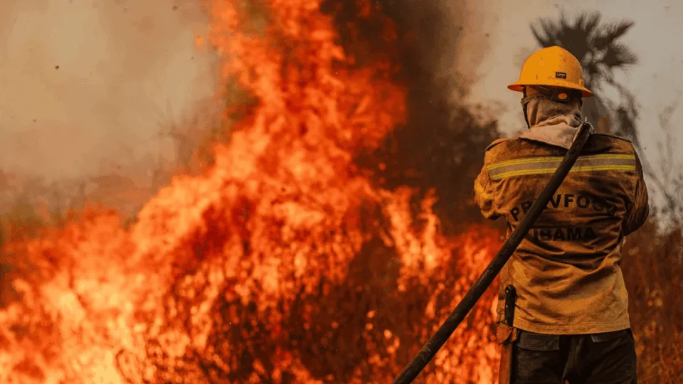Operação da PF reduz em mais de 90% focos de incêndio em Rondônia