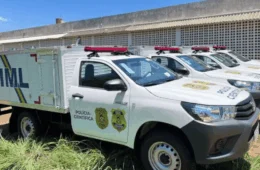 Jovem de 21 anos morre após colidir com vaca na rodovia TO-239 no norte do Tocantins