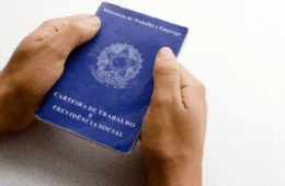 Comércio do Tocantins: destaques de 2023 em Números do IBGE; confira