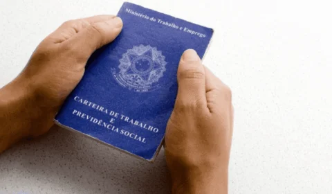 Comércio do Tocantins: destaques de 2023 em Números do IBGE; confira