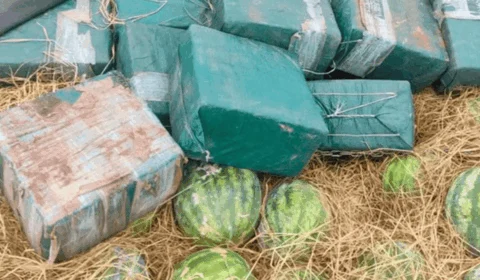 Melancias recheadas de cocaína: nove pessoas viram réus por tráfico e armas no Tocantins