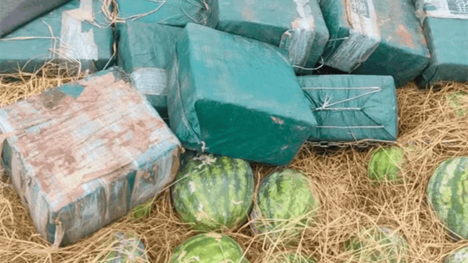 Melancias recheadas de cocaína: nove pessoas viram réus por tráfico e armas no Tocantins