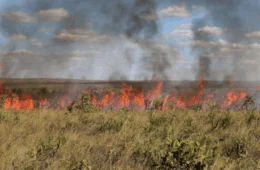 Queimadas disparam no Tocantins e Lagoa da Confusão lidera ranking nacional; confira
