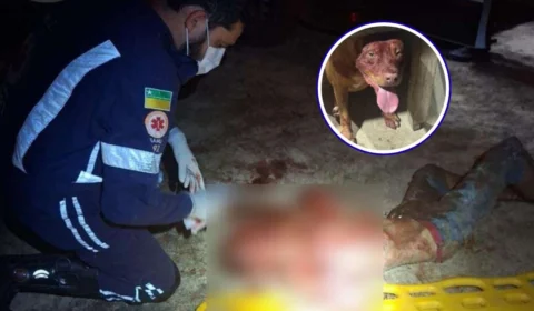 Ladrão invade casa e é atacado por pitbull em Boa Vista