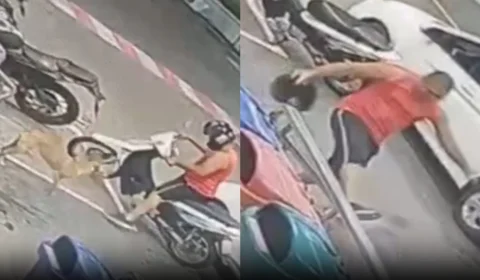 VÍDEO: homem chuta cadela em supermercado de Manaus; agressor se apresenta à polícia e diz estar arrependido