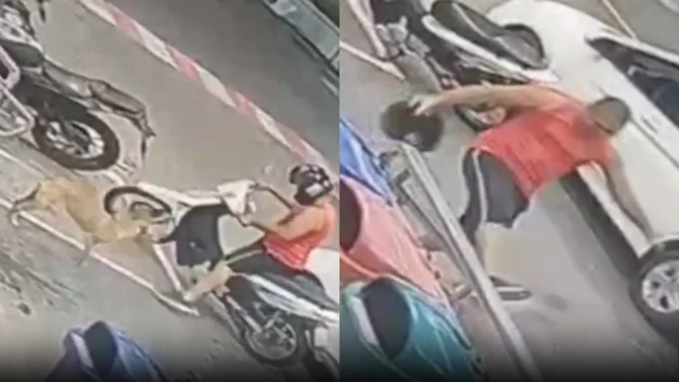 VÍDEO: homem chuta cadela em supermercado de Manaus; agressor se apresenta à polícia e diz estar arrependido