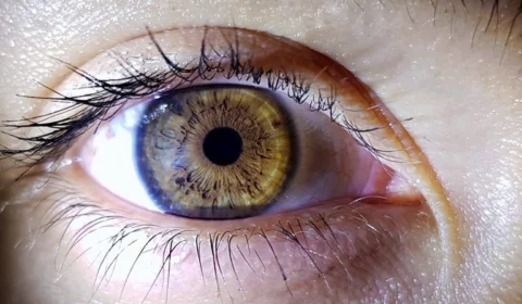 Acre tem fila de espera de mais de 1000 dias para transplante de córnea