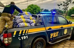 PRF apreende 1,5 tonelada de alho contrabandeado após suspeito fugir em Roraima