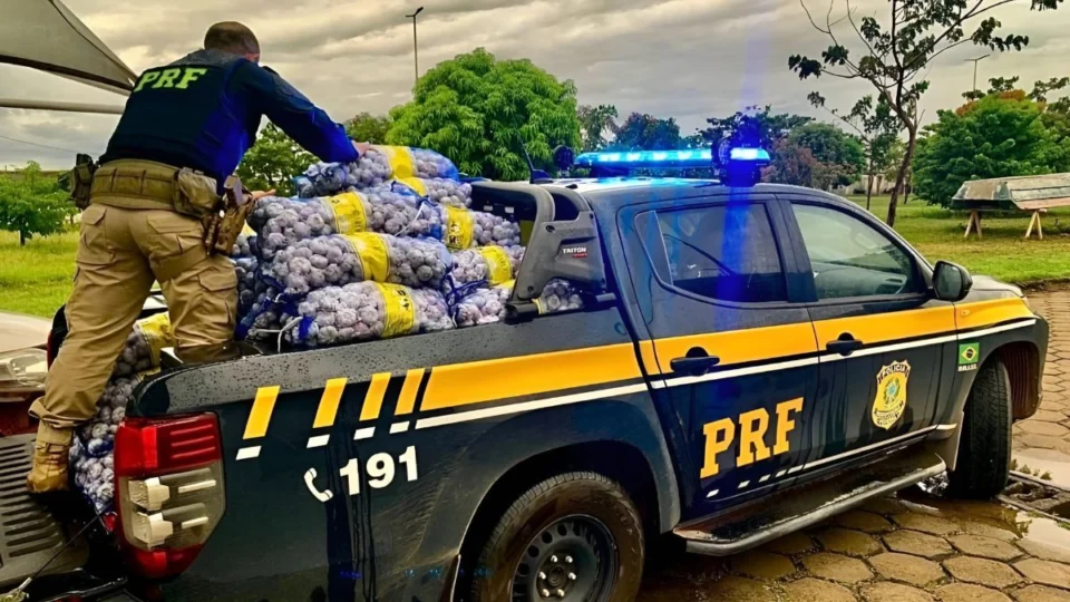 PRF apreende 1,5 tonelada de alho contrabandeado após suspeito fugir em Roraima