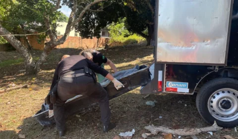 VÍDEO: mulher é encontrada morta por trabalhador em terreno baldio no bairro Colônia Terra Nova, em Manaus