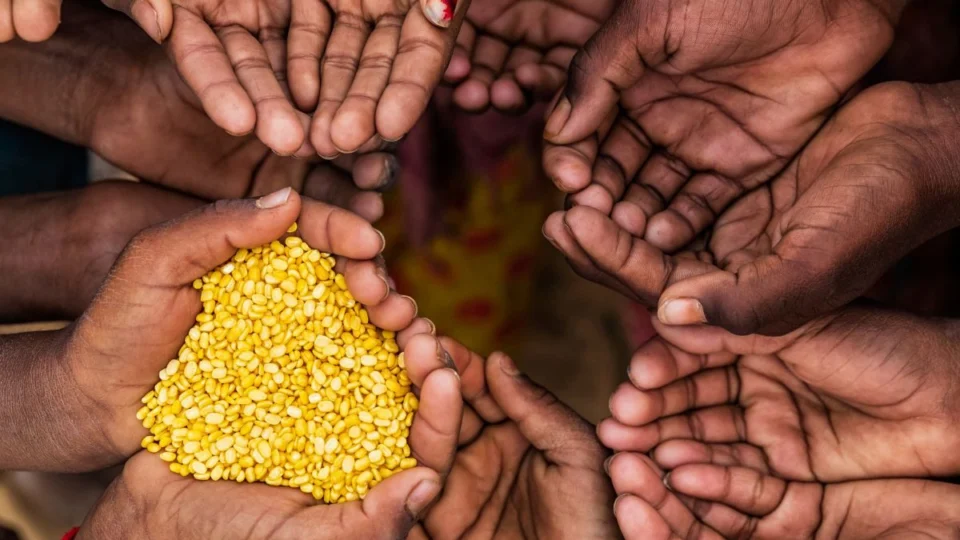 Municípios são protagonistas na conquista do Brasil fora do Mapa da Fome da FAO