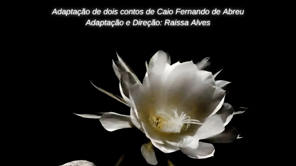 Espetáculo “A Solidão por Trás da História” convida o público a mergulhar nas dores e delírios urbanos de Caio Fernando Abreu