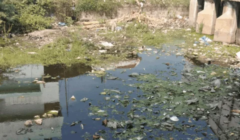 Desigualdade social coloca Acre entre os piores estados no Índice de Progresso Social 2025