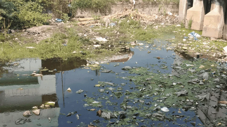 Desigualdade social coloca Acre entre os piores estados no Índice de Progresso Social 2025