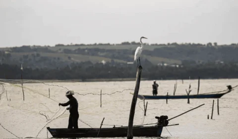 Governo anuncia ação nacional para reforçar fiscalização do Seguro-Defeso