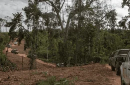 Ações do governo reduzem garimpo em 98% e mortes entre Yanomami caem 33% em dois anos