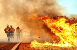 Incêndios e tempo seco colocam DF em alerta; especialistas dão dicas de saúde