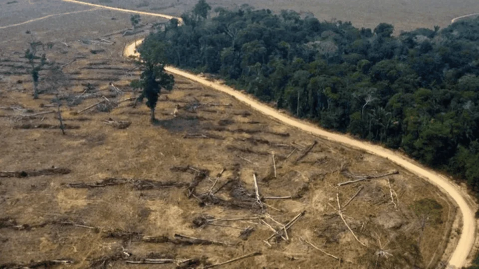 Soja, pastagens e mineração impulsionam perda histórica de floresta na Amazônia, aponta estudo