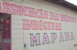 Mulheres indígenas da Amazônia ganham impulso em projeto de produção de açaí