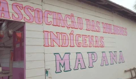 Mulheres indígenas da Amazônia ganham impulso em projeto de produção de açaí