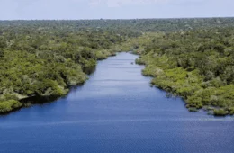 PL que institui o Programa Rios Livres da Amazônia avança no Senado