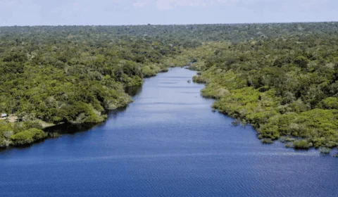 PL que institui o Programa Rios Livres da Amazônia avança no Senado