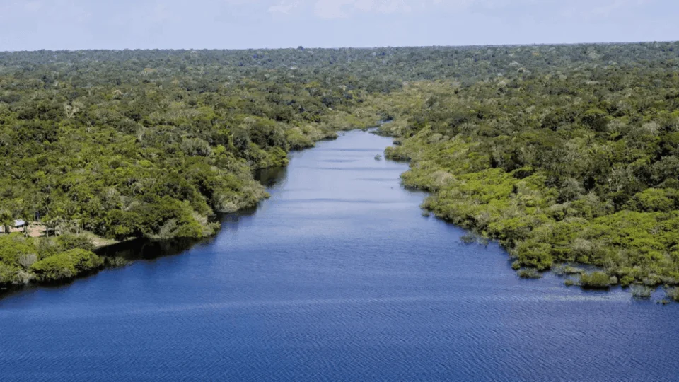 PL que institui o Programa Rios Livres da Amazônia avança no Senado