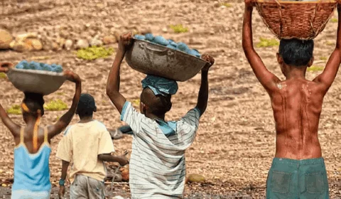 VÍDEO: vereadores de Alta Floresta d’Oeste já gastaram quase R$ 250 mil em diárias