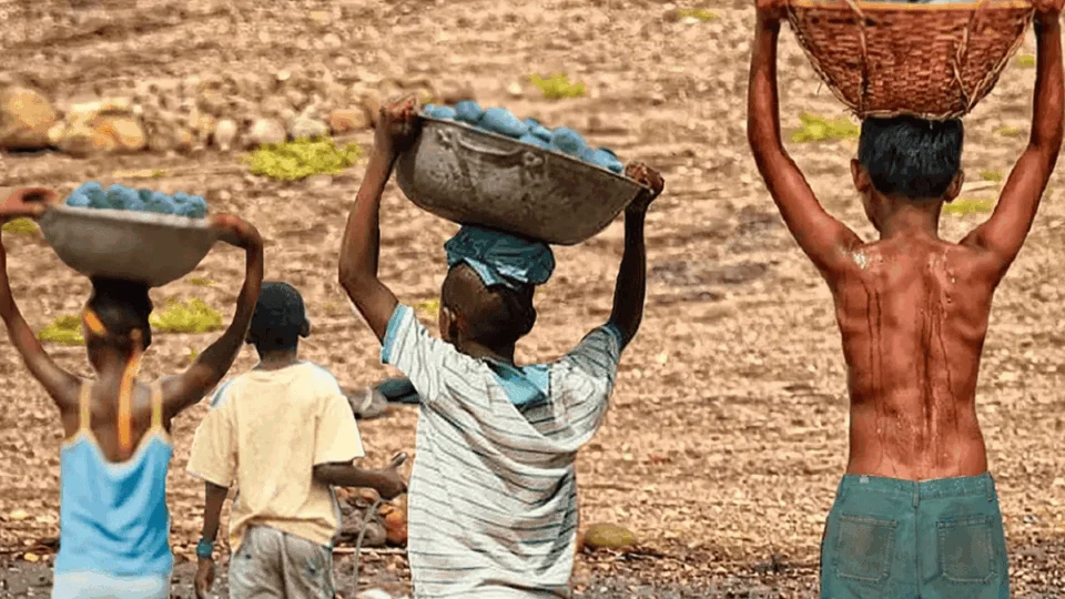 VÍDEO: vereadores de Alta Floresta d’Oeste já gastaram quase R$ 250 mil em diárias