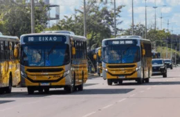 Reforço no Transporte Público de Palmas (TO) para o Festival Gastronômico de Taquaruçu
