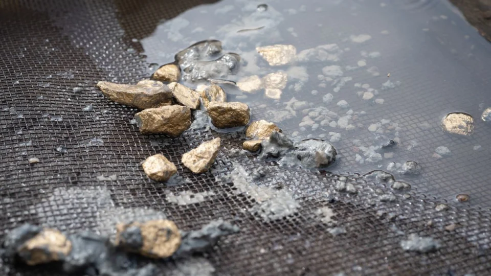 Garimpeiro é denunciado por extração ilegal de ouro em Roraima