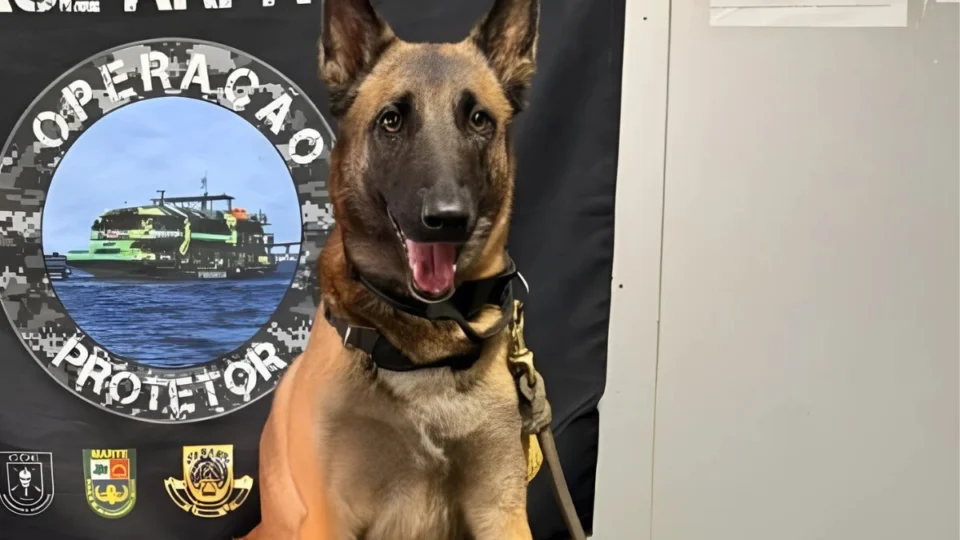 Polícia apreende 10 kg de cocaína em embarcação na região de Coari