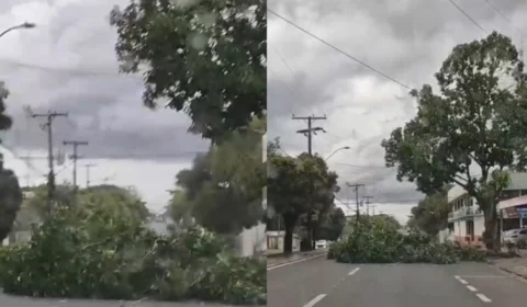 Ventos fortes derrubam árvore e estrutura de ferro em Boa Vista