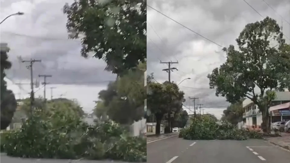 Ventos fortes derrubam árvore e estrutura de ferro em Boa Vista