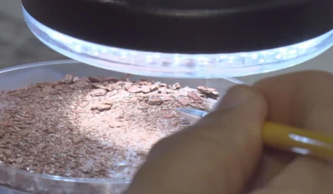 Roraima descobre o maior complexo de terras raras do mundo