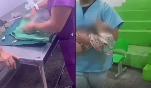 Cadela morre após banho e tosa em pet shop de Manaus; família contesta versão da clínica