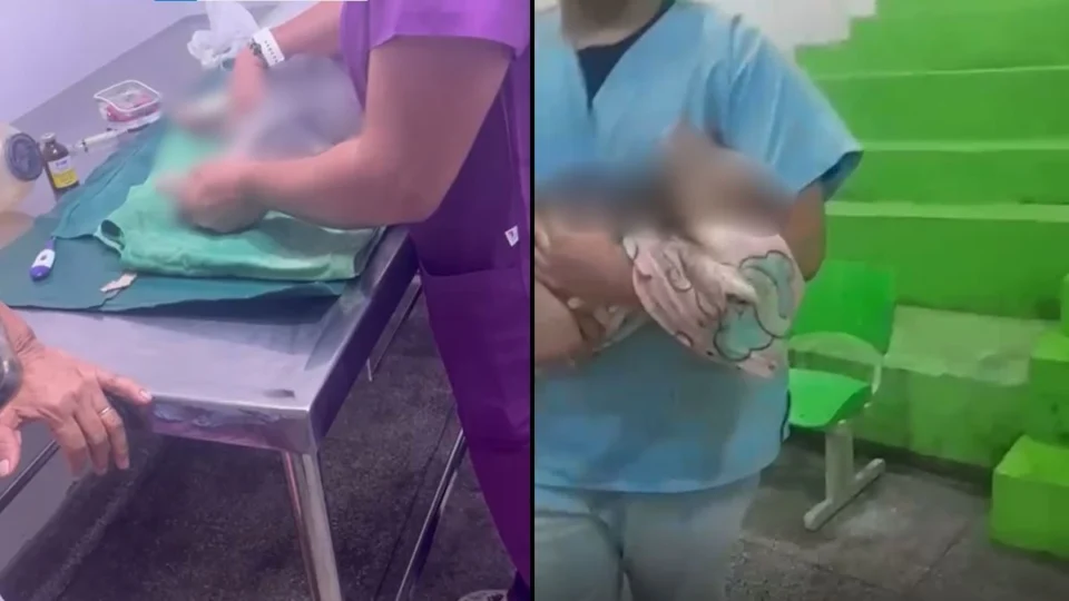Cadela morre após banho e tosa em pet shop de Manaus; família contesta versão da clínica