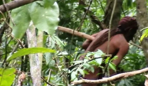 Caso não solucionado do ‘Índio do Buraco’ inspira projeto na Amazônia; confira