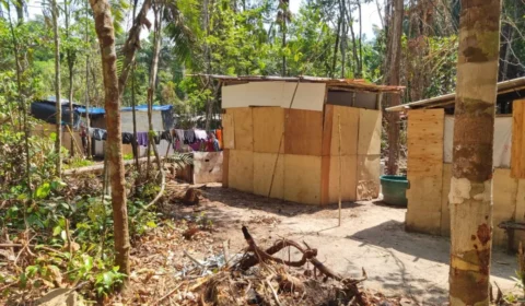 Nove indiciados por crimes ambientais em Manaus após invasão de área de preservação