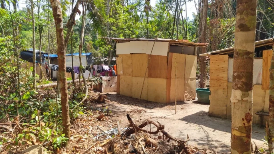 Nove indiciados por crimes ambientais em Manaus após invasão de área de preservação