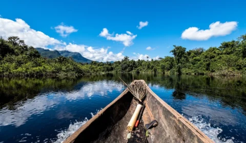 Dia da Amazônia: veja 7curiosidades que você provavelmente não conhecia sobre a região