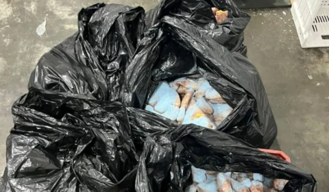 Fiscalização recolhe 167 kg de linguiça vencida em comércio de Manaus
