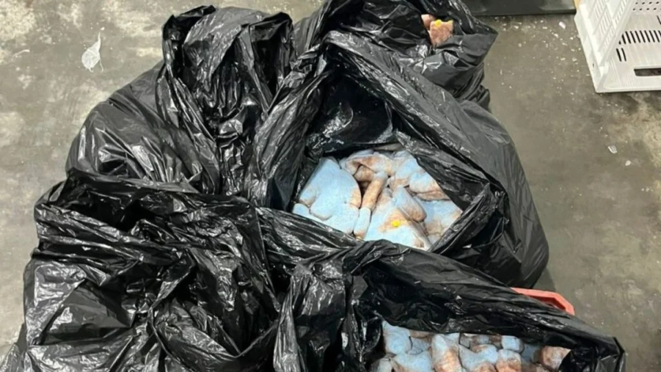 Fiscalização recolhe 167 kg de linguiça vencida em comércio de Manaus
