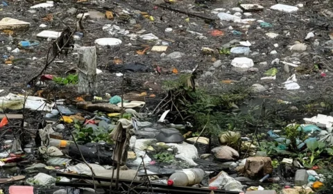 Corpo de homem é encontrado decapitado em área de igarapé de Manaus