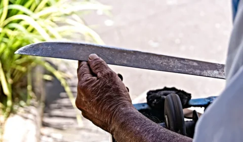 Tio e sobrinho brigam por terra no Amazonas e trocam golpes de terçado