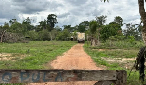Caminhão furtado de posto é localizado em sítio abandonado em Porto Velho