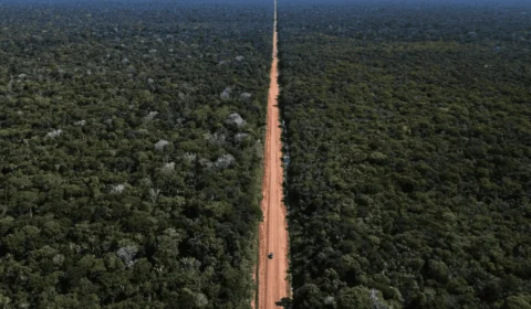 BR-319: obras paradas e cobranças crescentes no Congresso Nacional