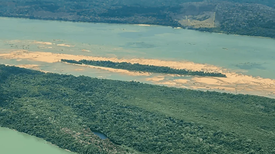 Pressão sobre floresta em terra indígena no Pará aumenta no segundo trimestre de 2025