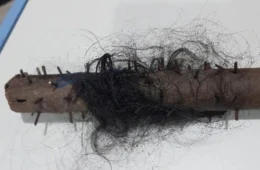 Vigia é agredido na cabeça com pedaço de madeira com pregos em Porto Velho